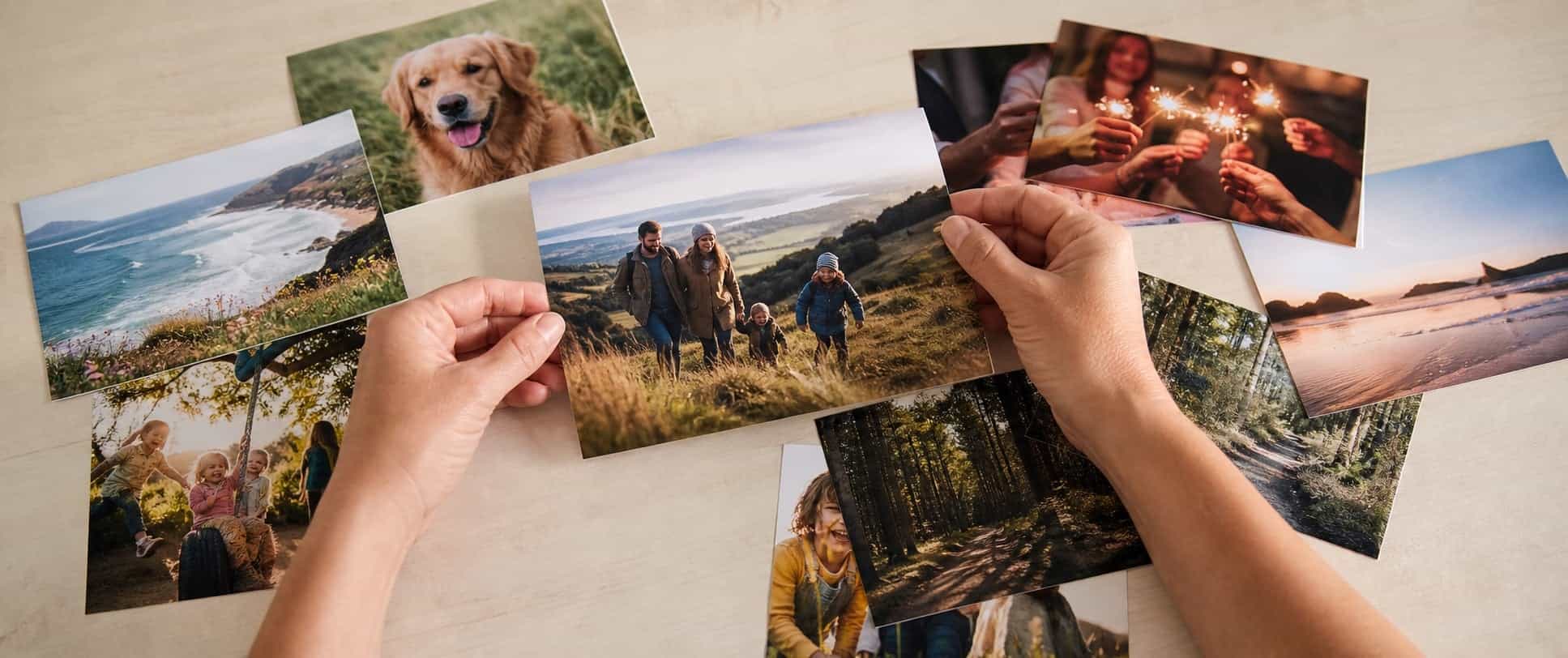 A selection of freshly printed family, pet and landscape photographs