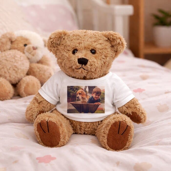 Teddy Bear