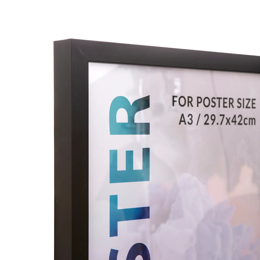 Chester Series Poster Frame